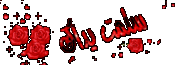 فيلم ولاد العم بطولة كريم عبد العزيز منى زكى جودة DvD Cam تحدى لجميع المواقع 757329